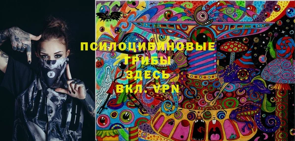 ECSTASY Майский