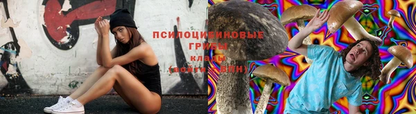 СК Лихославль